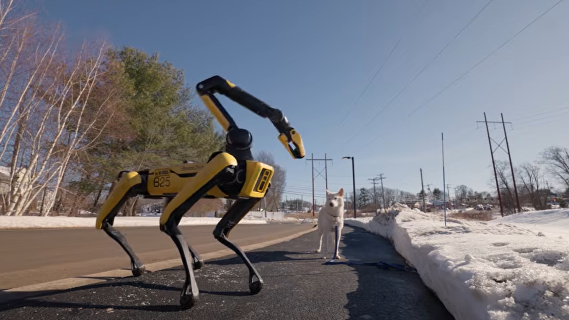 boston-dynamics-1776310865604-1776310865873330758677