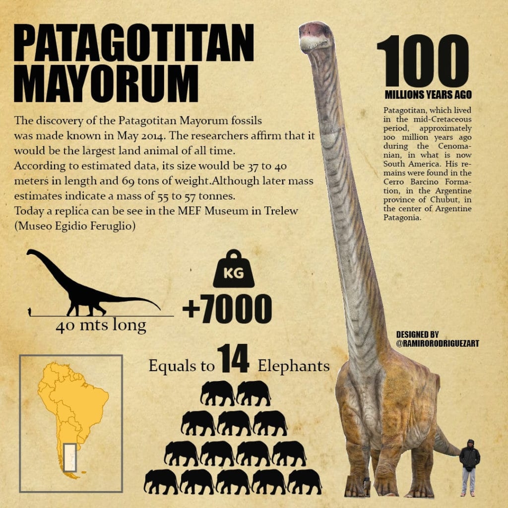 patagotitan-mayorum-infographic-1776659242873-17766592431251405459108