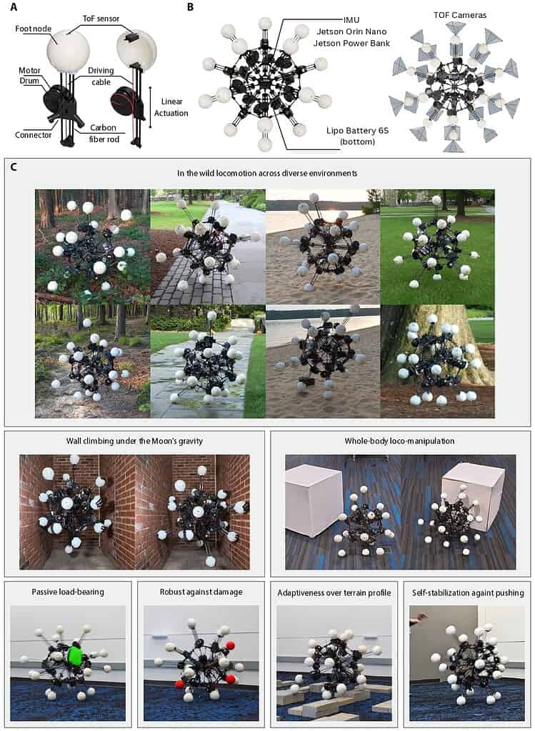 aec1725figurefig1seq1v1page-1780322407301-17803224078461719934161