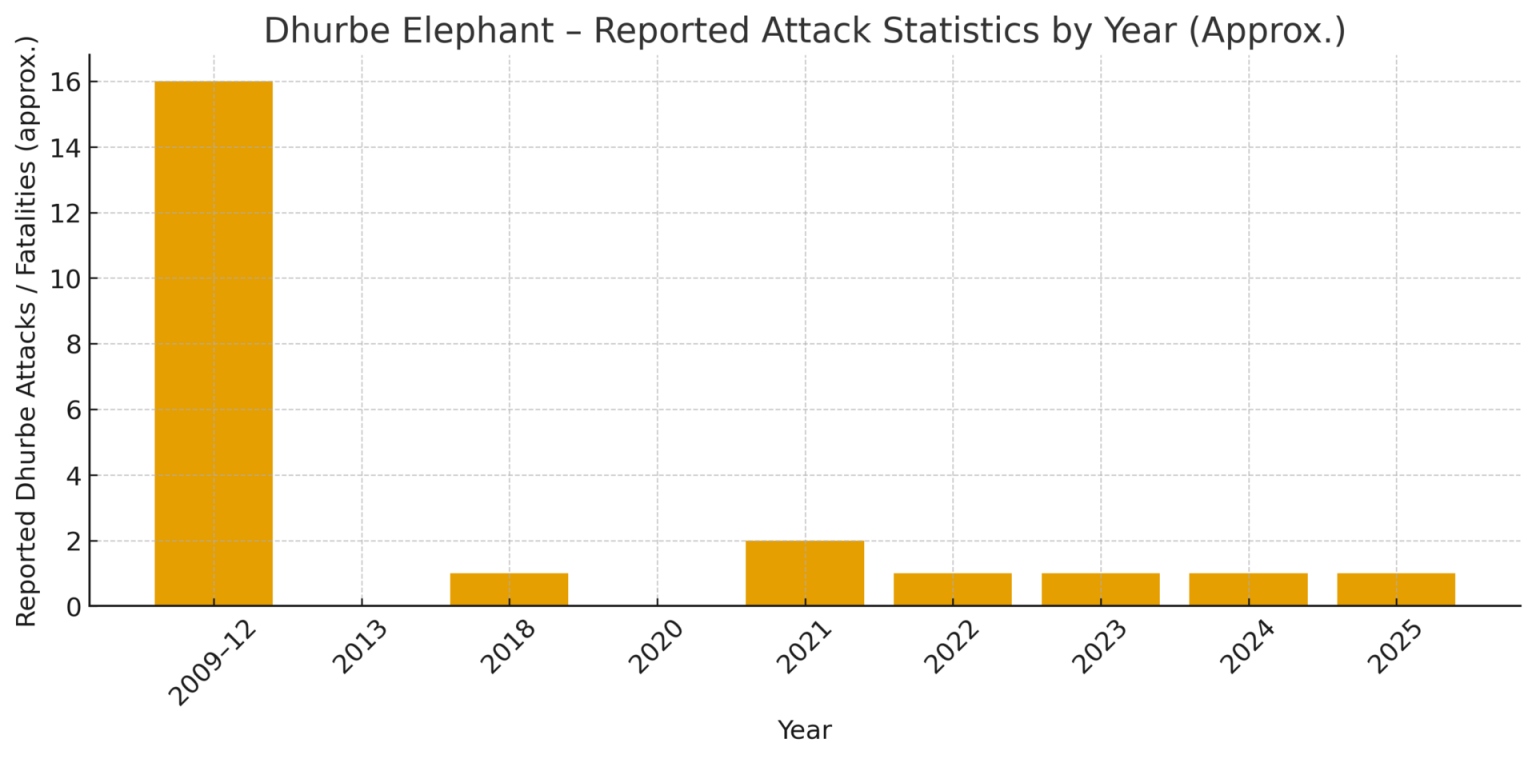 dhurbeattacks-1536x759-1783656742977-1783656743167791734178