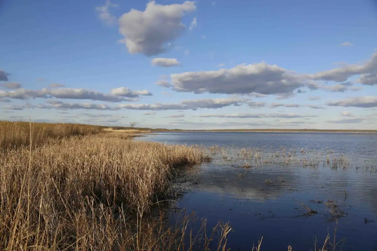 rice-lake-minnesota-scaled-1-1788233843672-1788233843853628828011